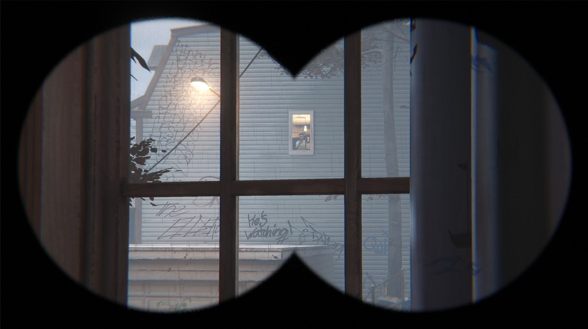 Farsight screenshot: Binocular view of the neighbor's window